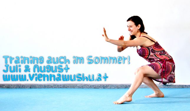 Kung Fu im Sommer Wien 1070